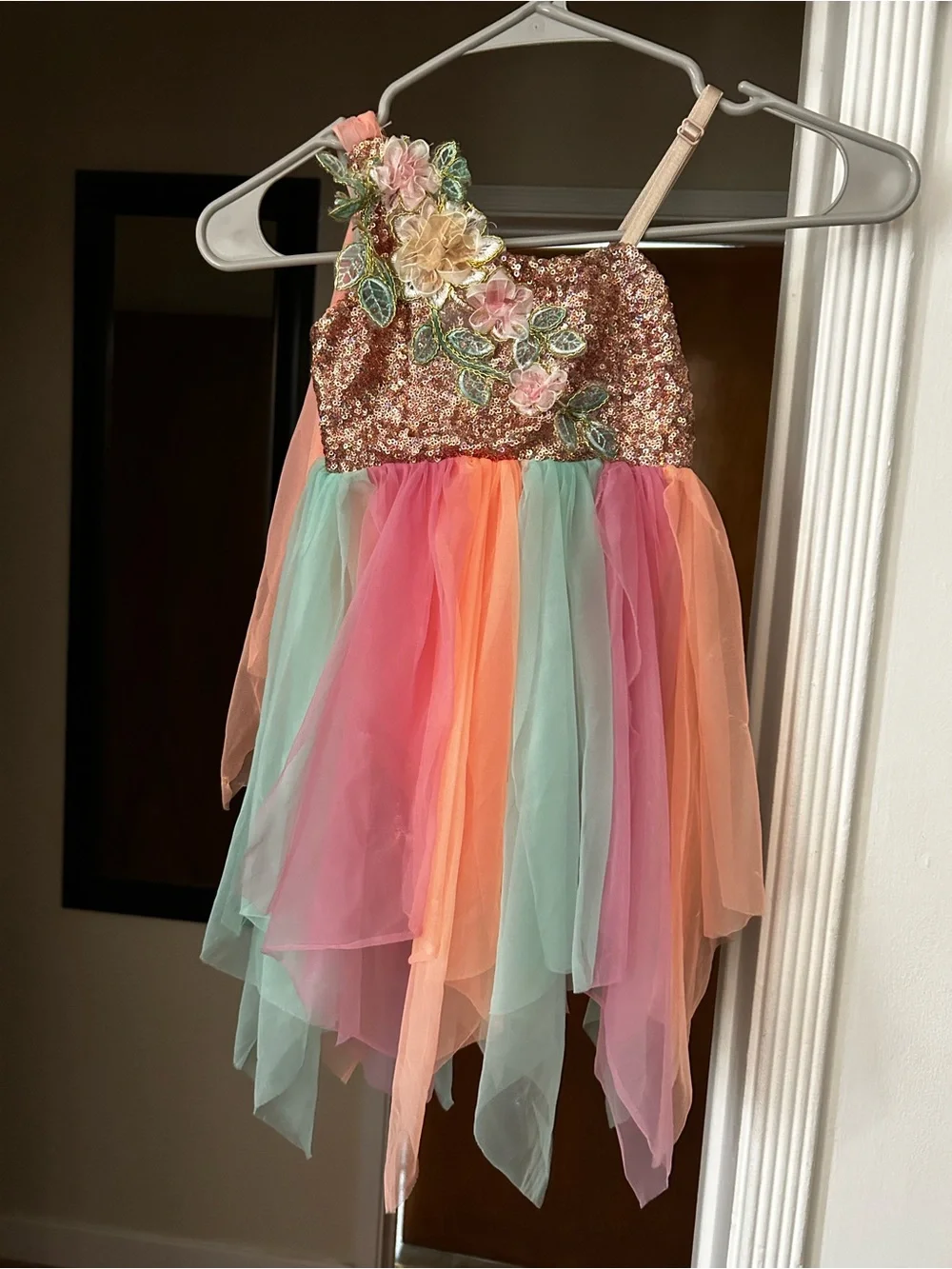 Girls Sparkle Floral Multi-Color Tulle Fairy Dress Size CS-6/7